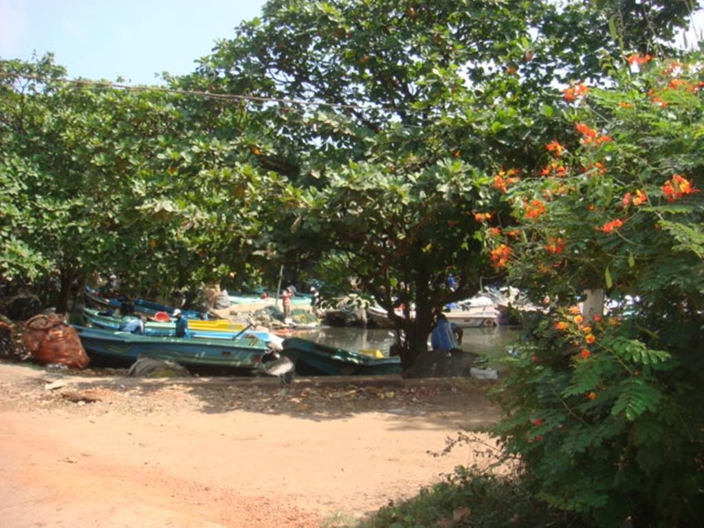 Randi Homestay In Negombo Exterior photo