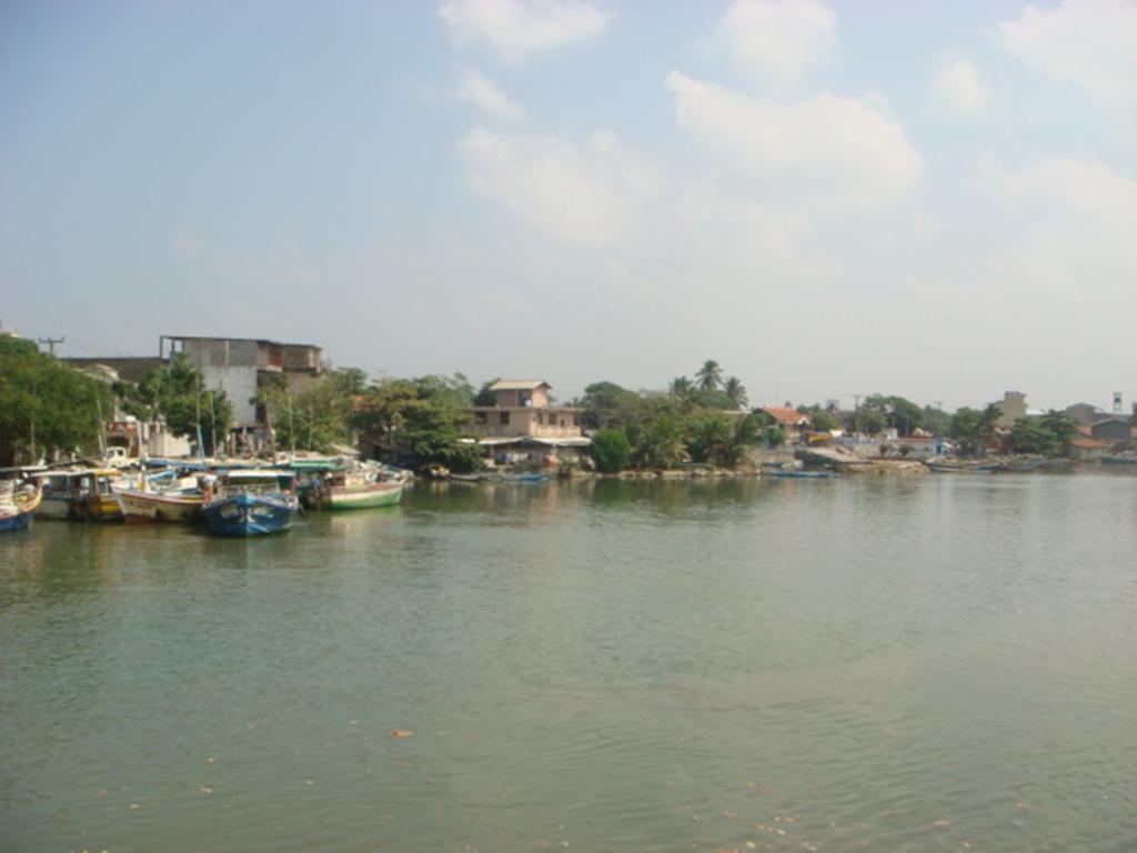 Randi Homestay In Negombo Exterior photo